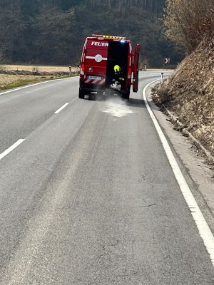 PHOTO 2026 03 04 15 43 28 3